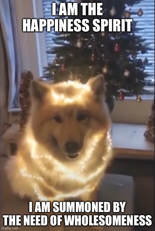 Christmas doggo | I AM THE HAPPINESS SPIRIT; I AM SUMMONED BY THE NEED OF WHOLESOMENESS | image tagged in cute dog | made w/ Imgflip meme maker