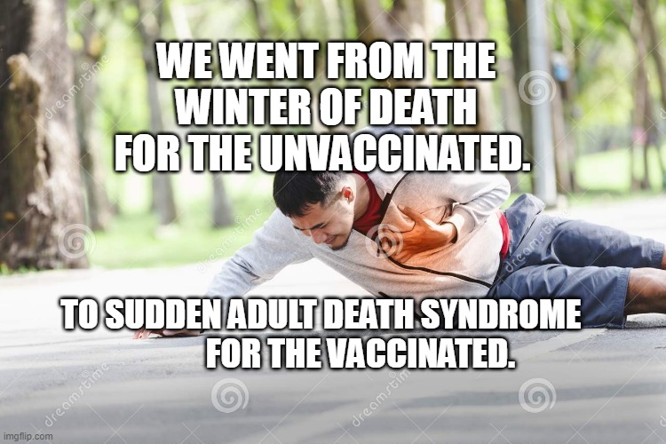 heart attack | WE WENT FROM THE WINTER OF DEATH FOR THE UNVACCINATED. TO SUDDEN ADULT DEATH SYNDROME              FOR THE VACCINATED. | image tagged in heart attack | made w/ Imgflip meme maker