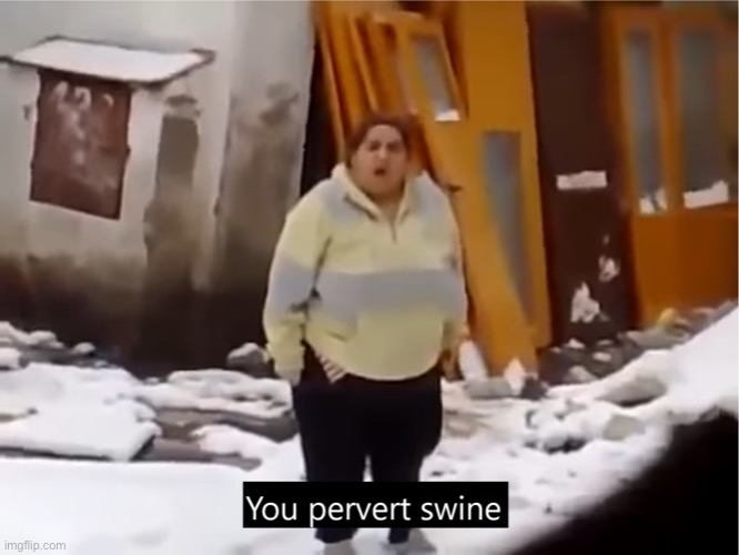 You pervert swine | image tagged in you pervert swine | made w/ Imgflip meme maker