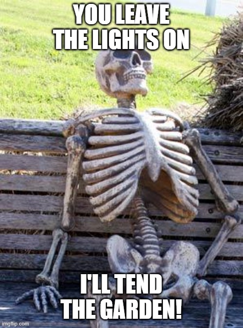 Waiting Skeleton Meme | YOU LEAVE THE LIGHTS ON I'LL TEND THE GARDEN! | image tagged in memes,waiting skeleton | made w/ Imgflip meme maker