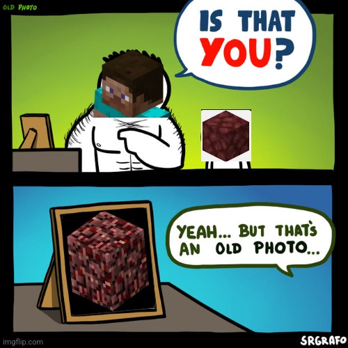 Old netherrack is BAD | image tagged in is that you yeah but that's an old photo,fun,funny,memes,gaming,minecraft | made w/ Imgflip meme maker