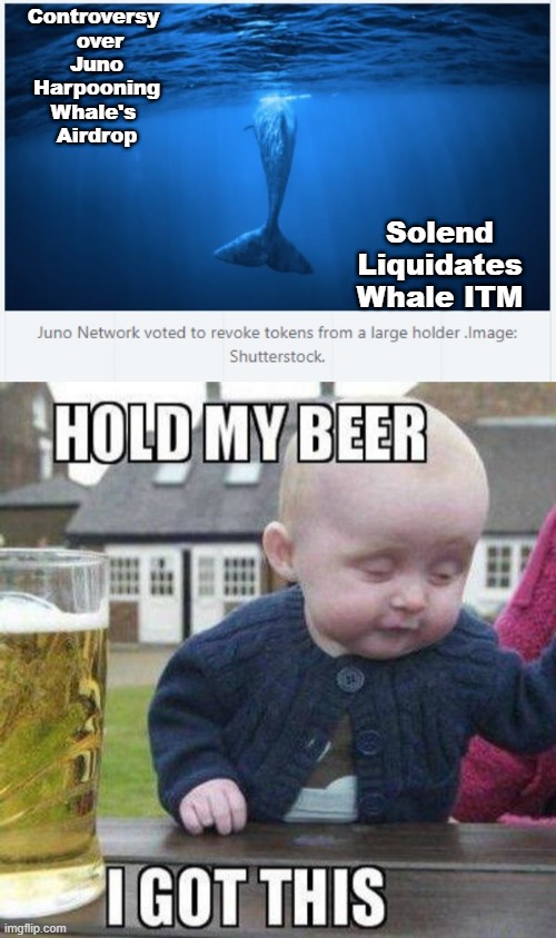 Solend Liquidates Whale ITM; Controversy   over   Juno   Harpooning   Whale's  
 Airdrop | image tagged in hold my beer | made w/ Imgflip meme maker