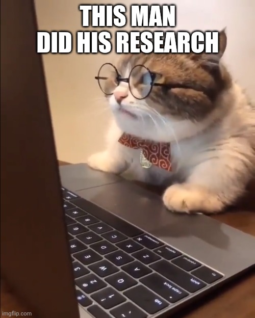 research cat | THIS MAN DID HIS RESEARCH | image tagged in research cat | made w/ Imgflip meme maker