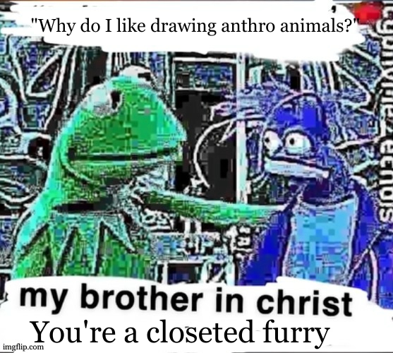 My experience | "Why do I like drawing anthro animals?"; You're a closeted furry | image tagged in my brother in christ | made w/ Imgflip meme maker
