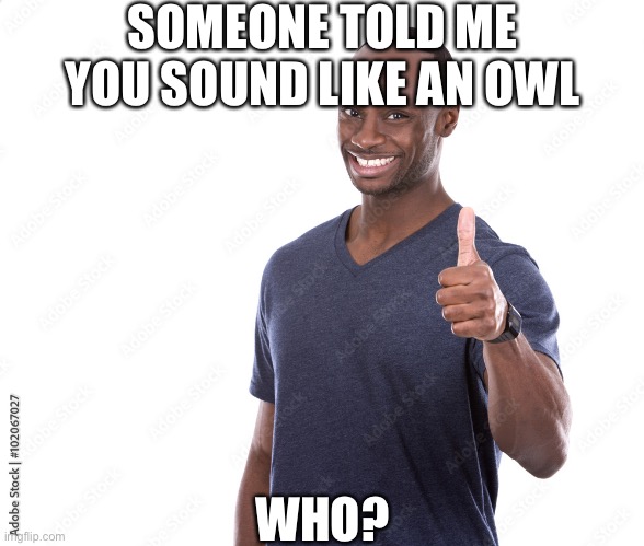 Stock | SOMEONE TOLD ME YOU SOUND LIKE AN OWL; WHO? | image tagged in stock | made w/ Imgflip meme maker
