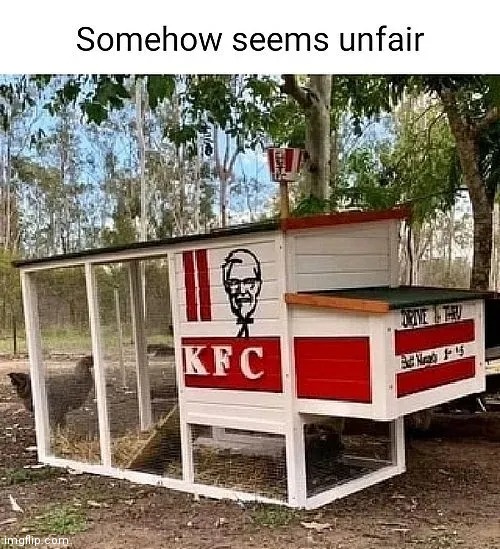 Unfair ?? | image tagged in chicken,coop,unfair,kfc | made w/ Imgflip meme maker