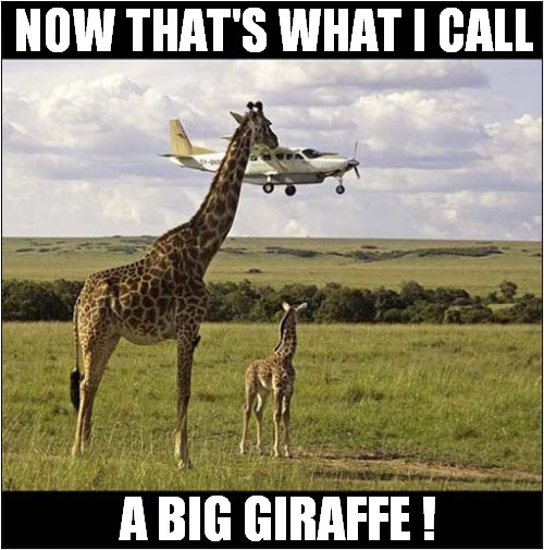 Watch Out Pilot ! |  NOW THAT'S WHAT I CALL; A BIG GIRAFFE ! | image tagged in fun,now thats what i call,big,giraffe,optical illusion | made w/ Imgflip meme maker