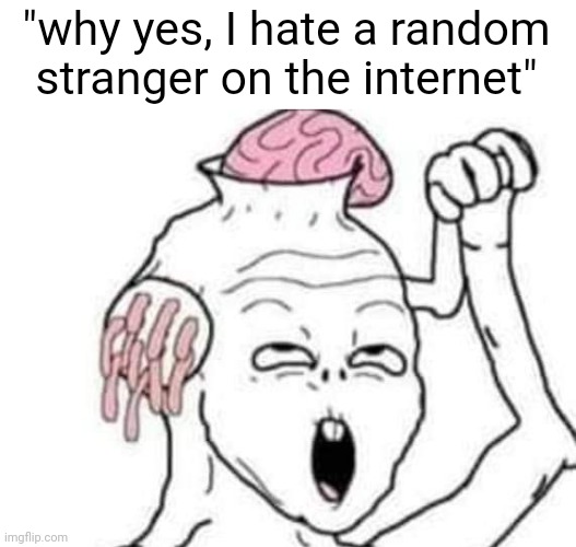 . | "why yes, I hate a random stranger on the internet" | image tagged in wojack meat grinder | made w/ Imgflip meme maker