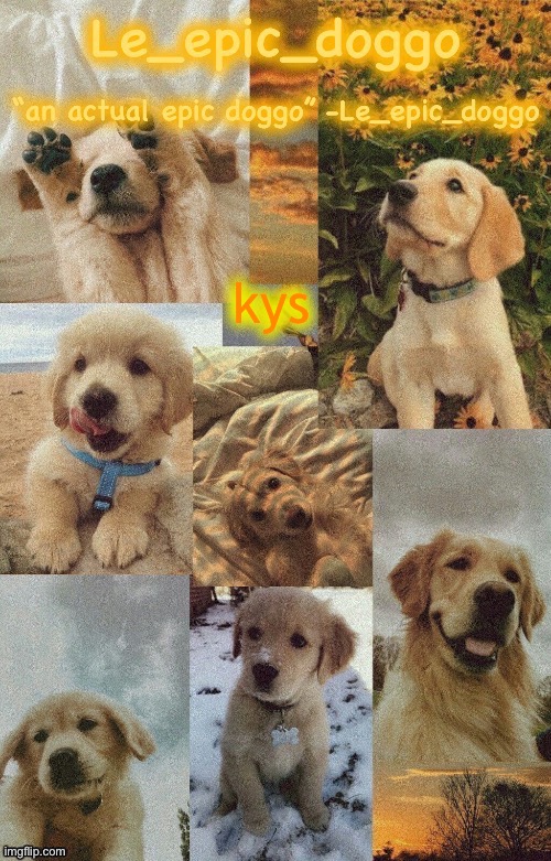 Doggo temp by doggo. Wait what that’s confusing | kys | image tagged in doggo temp by doggo wait what that s confusing | made w/ Imgflip meme maker