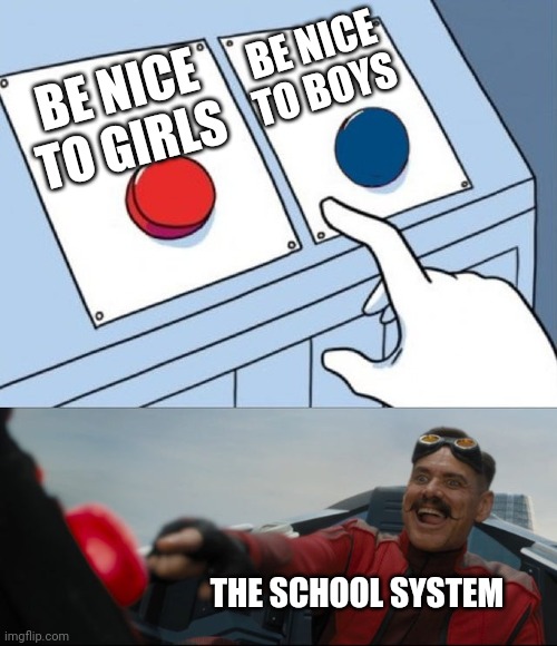 Robotnik Button | BE NICE TO BOYS; BE NICE TO GIRLS; THE SCHOOL SYSTEM | image tagged in robotnik button | made w/ Imgflip meme maker