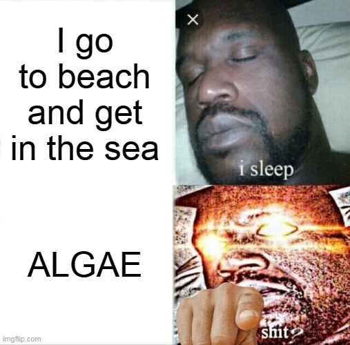 The most disturbing thing at the beach | I go to beach and get in the sea; ALGAE | image tagged in memes,sleeping shaq | made w/ Imgflip meme maker