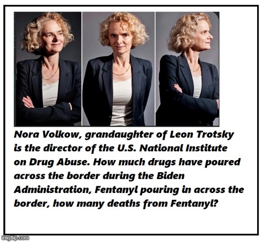 nora volkow | image tagged in nora volkow,trotsky,nih | made w/ Imgflip meme maker