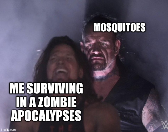 undertaker |  MOSQUITOES; ME SURVIVING IN A ZOMBIE APOCALYPSES | image tagged in undertaker | made w/ Imgflip meme maker