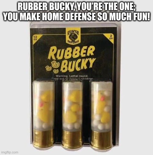 Rubber Bucky |  RUBBER BUCKY, YOU’RE THE ONE; YOU MAKE HOME DEFENSE SO MUCH FUN! | image tagged in shotgun | made w/ Imgflip meme maker