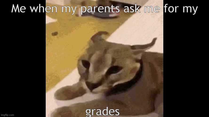 Dunno Beluga Hecker | Me when my parents ask me for my; grades | image tagged in dunno beluga hecker,memes | made w/ Imgflip meme maker