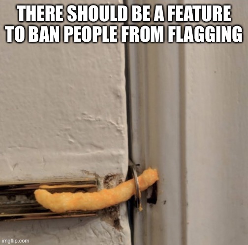 It’s annoying to see flags spammed for no reasons | THERE SHOULD BE A FEATURE TO BAN PEOPLE FROM FLAGGING | image tagged in cheetos door lock | made w/ Imgflip meme maker