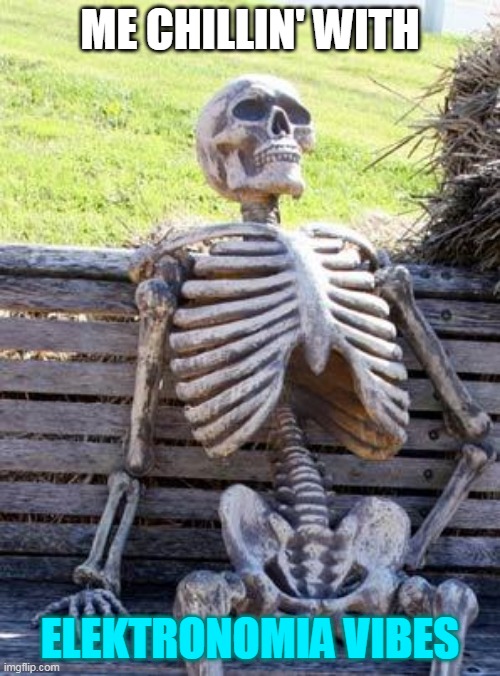 I really really like his almost 50 tracks, all of them!!!! | ME CHILLIN' WITH; ELEKTRONOMIA VIBES | image tagged in memes,waiting skeleton | made w/ Imgflip meme maker