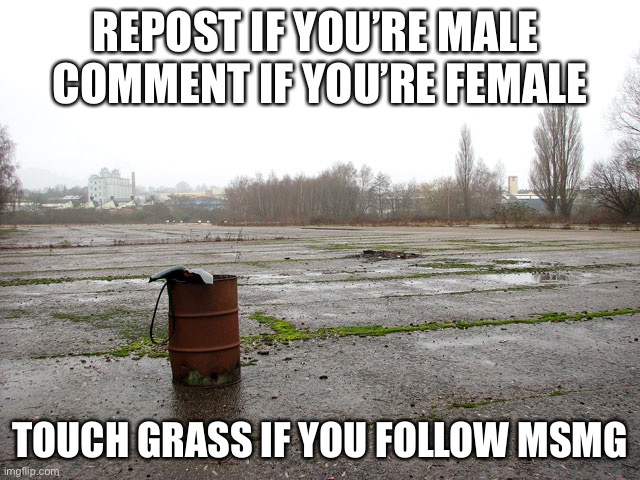. | REPOST IF YOU’RE MALE 
COMMENT IF YOU’RE FEMALE; TOUCH GRASS IF YOU FOLLOW MSMG | made w/ Imgflip meme maker