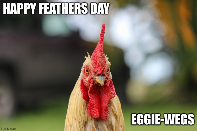 Happy Feathers Day | HAPPY FEATHERS DAY; EGGIE-WEGS | image tagged in angry rooster | made w/ Imgflip meme maker