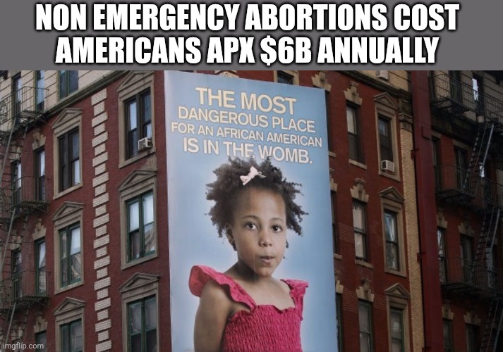 NON EMERGENCY ABORTIONS COST 
AMERICANS APX $6B ANNUALLY | image tagged in funny memes | made w/ Imgflip meme maker