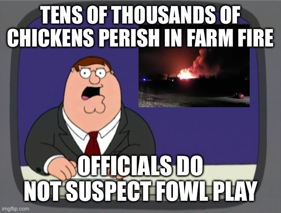 Egg Prices Up In Smoke | TENS OF THOUSANDS OF CHICKENS PERISH IN FARM FIRE; OFFICIALS DO NOT SUSPECT FOWL PLAY | image tagged in peter griffin news,massive farm fire,eggs,chickens,food supply,price increases | made w/ Imgflip meme maker