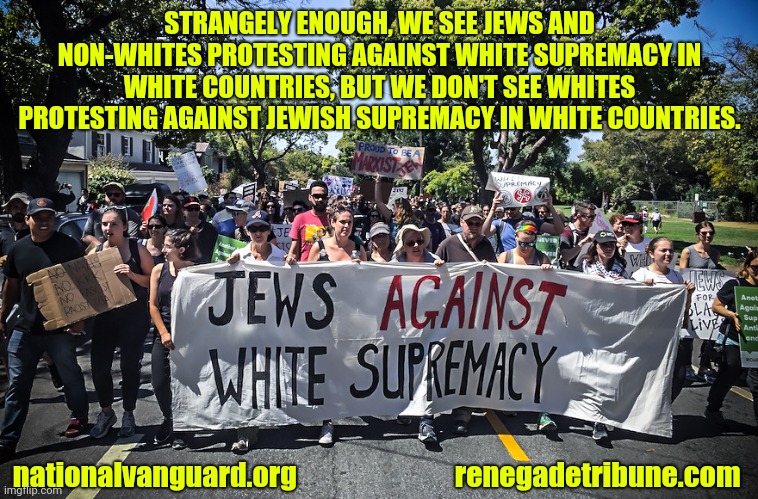 High Quality Jewish Supremacy / nationalvanguard.org Blank Meme Template