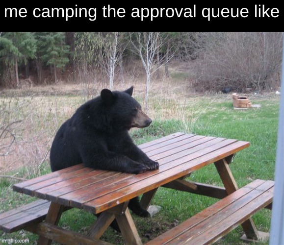 Patient Bear | me camping the approval queue like | image tagged in patient bear | made w/ Imgflip meme maker