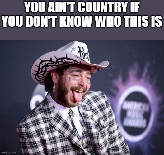 Country Post Malone | YOU AIN'T COUNTRY IF YOU DON'T KNOW WHO THIS IS | image tagged in post malone,country,country music,cowboy,funny,memes | made w/ Imgflip meme maker