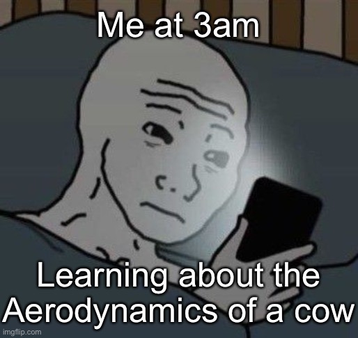 why | Me at 3am; Learning about the Aerodynamics of a cow | image tagged in why | made w/ Imgflip meme maker