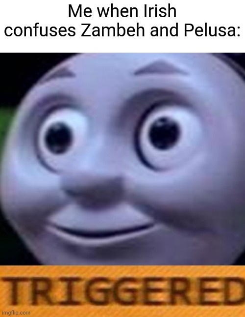 At least he allowed me to edit the script to fix it, hehe | Me when Irish confuses Zambeh and Pelusa: | image tagged in triggered,lol,pelusa,zambeh | made w/ Imgflip meme maker