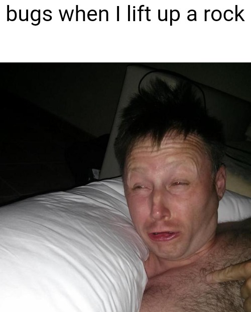 Limmy waking up | bugs when I lift up a rock | image tagged in limmy waking up | made w/ Imgflip meme maker