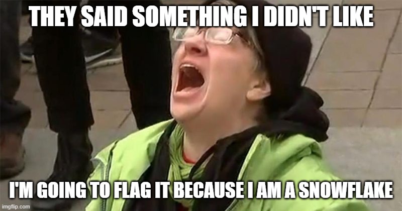 crying liberal | THEY SAID SOMETHING I DIDN'T LIKE; I'M GOING TO FLAG IT BECAUSE I AM A SNOWFLAKE | image tagged in crying liberal | made w/ Imgflip meme maker
