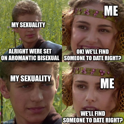 I am so lonely :( Please advice I need it | ME; MY SEXUALITY; ALRIGHT WERE SET ON AROMANTIC BISEXUAL; OK! WE'LL FIND SOMEONE TO DATE RIGHT? ME; MY SEXUALITY; WE'LL FIND SOMEONE TO DATE RIGHT? | image tagged in anakin padme 4 panel,lonely | made w/ Imgflip meme maker