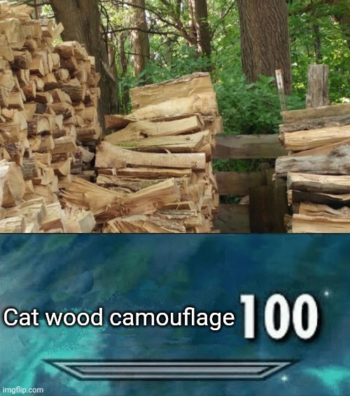 Cat asleep | Cat wood camouflage | image tagged in skyrim skill meme,cats,cat,memes,wood,asleep | made w/ Imgflip meme maker