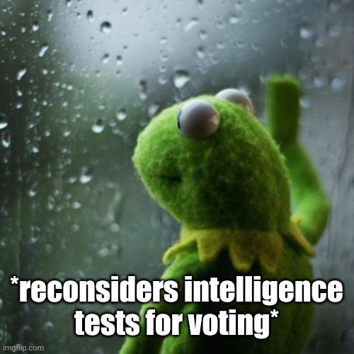 sometimes I wonder  | *reconsiders intelligence
tests for voting* | image tagged in sometimes i wonder | made w/ Imgflip meme maker