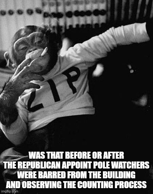Zip the Smoking Chimp | WAS THAT BEFORE OR AFTER THE REPUBLICAN APPOINT POLE WATCHERS WERE BARRED FROM THE BUILDING AND OBSERVING THE COUNTING PROCESS | image tagged in zip the smoking chimp | made w/ Imgflip meme maker