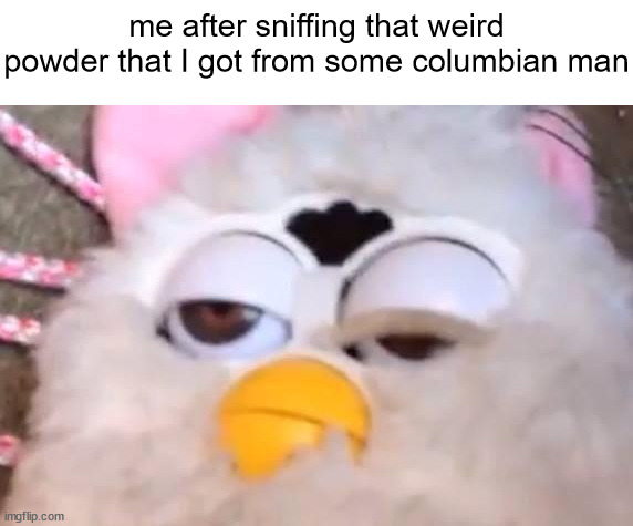 this shit slaps | me after sniffing that weird powder that I got from some columbian man | image tagged in shitpost status | made w/ Imgflip meme maker