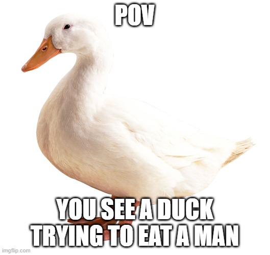 hehe | POV; YOU SEE A DUCK TRYING TO EAT A MAN | image tagged in roleplaying | made w/ Imgflip meme maker