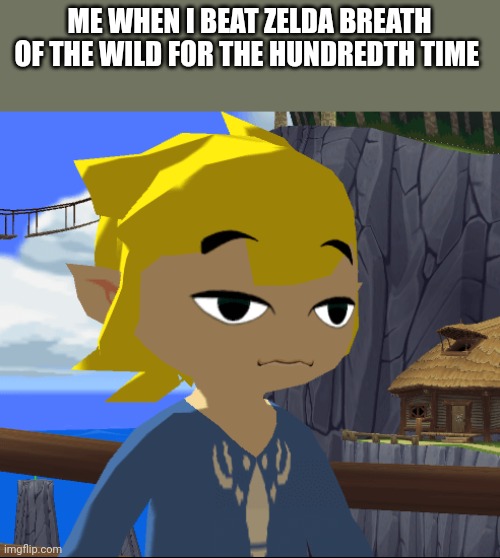 Annoyed link | ME WHEN I BEAT ZELDA BREATH OF THE WILD FOR THE HUNDREDTH TIME | image tagged in annoyed link | made w/ Imgflip meme maker