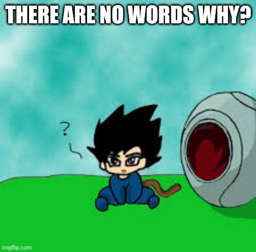 Vegeta is confused | THERE ARE NO WORDS WHY? | image tagged in vegeta is confused | made w/ Imgflip meme maker