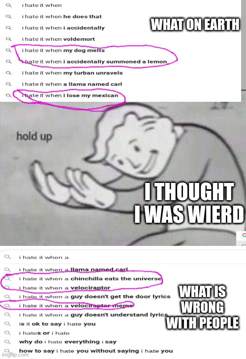 Fallout Hold Up | WHAT ON EARTH; I THOUGHT I WAS WIERD; WHAT IS WRONG WITH PEOPLE | image tagged in fallout hold up | made w/ Imgflip meme maker
