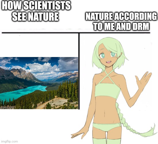 NATURE ACCORDING TO ME AND DRM; HOW SCIENTISTS SEE NATURE | image tagged in comparison table | made w/ Imgflip meme maker