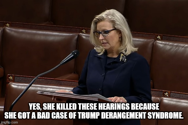 How will Liz be remembered?  "Yes, she did that" | YES, SHE KILLED THESE HEARINGS BECAUSE SHE GOT A BAD CASE OF TRUMP DERANGEMENT SYNDROME. | image tagged in rino | made w/ Imgflip meme maker