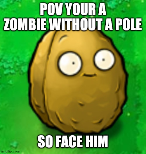 Who gets this nutty joke |  POV YOUR A ZOMBIE WITHOUT A POLE; SO FACE HIM | image tagged in wall-nut,memes,funny,plants vs zombies,pvz | made w/ Imgflip meme maker