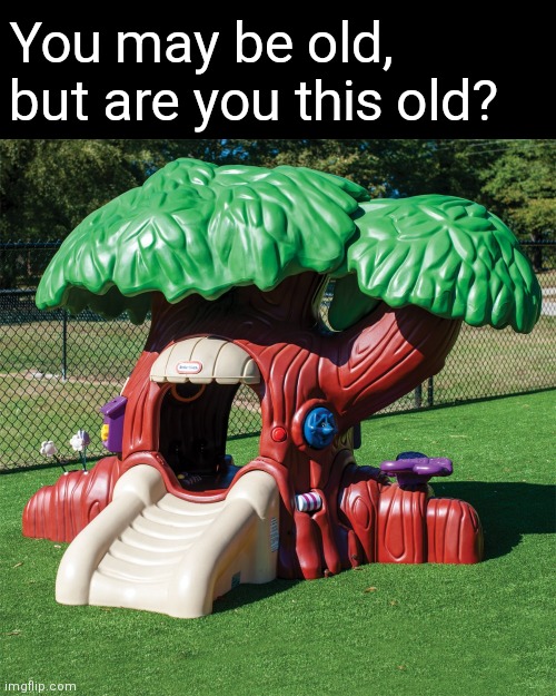Now, you can't escape the Tot Tree! | You may be old, but are you this old? | image tagged in tree,2000s,childhood,veterans discount | made w/ Imgflip meme maker