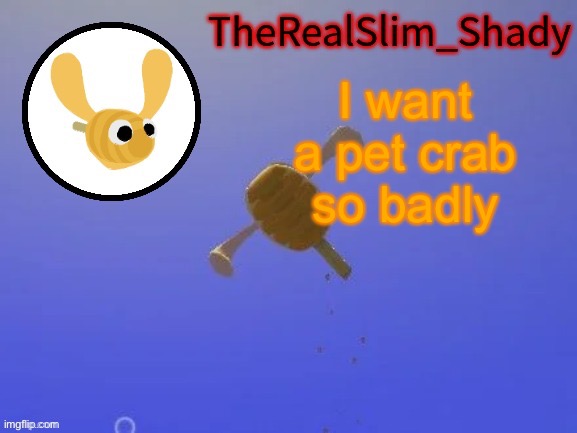 Shady’s hunnabee temp (thanks carlos) | I want a pet crab so badly | image tagged in shady s hunnabee temp thanks carlos | made w/ Imgflip meme maker