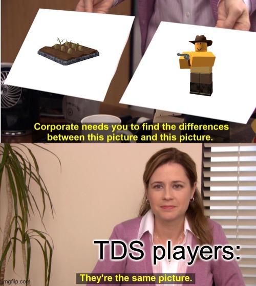 Cowboy and Farm Tds | TDS players: | image tagged in memes,they're the same picture,roblox | made w/ Imgflip meme maker