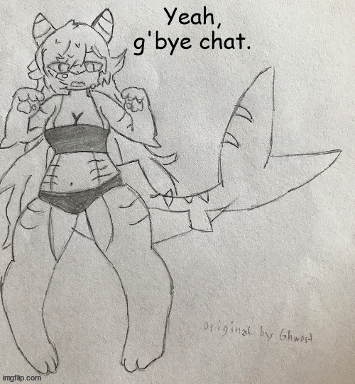 gn | Yeah, g'bye chat. | image tagged in bad template | made w/ Imgflip meme maker