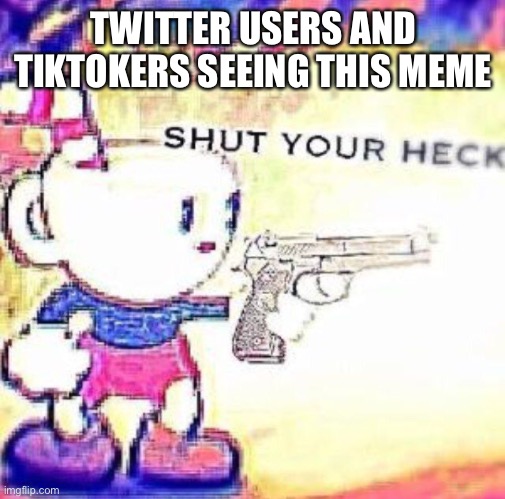 TWITTER USERS AND TIKTOKERS SEEING THIS MEME | image tagged in shut your heck | made w/ Imgflip meme maker