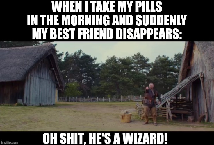 Oh shit, he's a wizard! | WHEN I TAKE MY PILLS IN THE MORNING AND SUDDENLY MY BEST FRIEND DISAPPEARS: | image tagged in oh shit he's a wizard | made w/ Imgflip meme maker